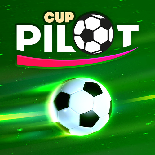 Pilot Cup
